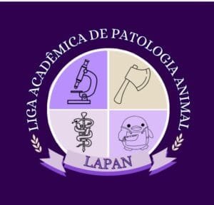 LAPAN